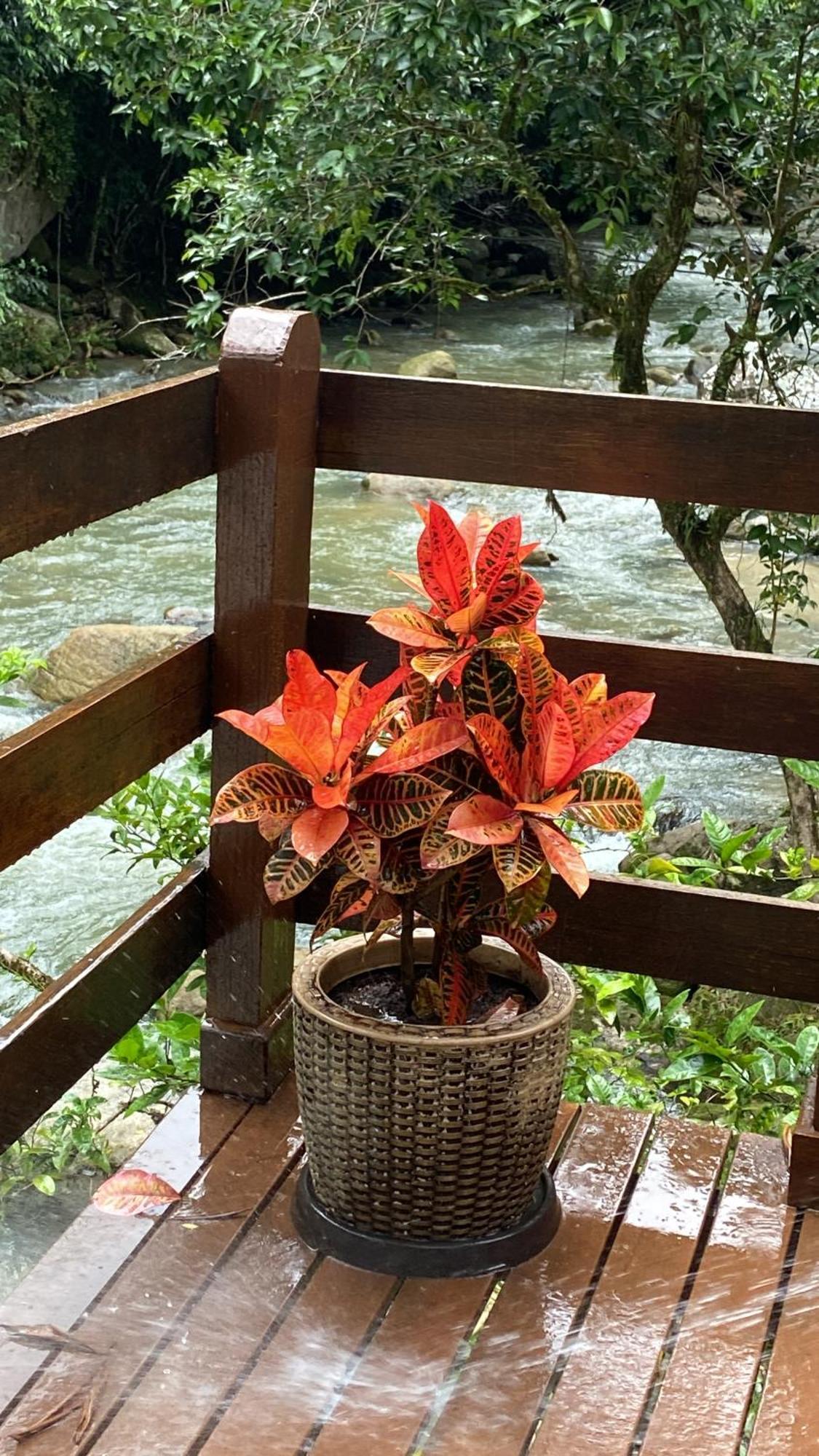 Chacara Da Liberdade Serra De Macae-Bicuda Pequena Villa Buitenkant foto